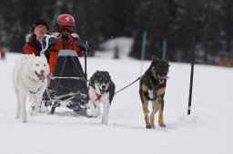 Lenzerheide 2013